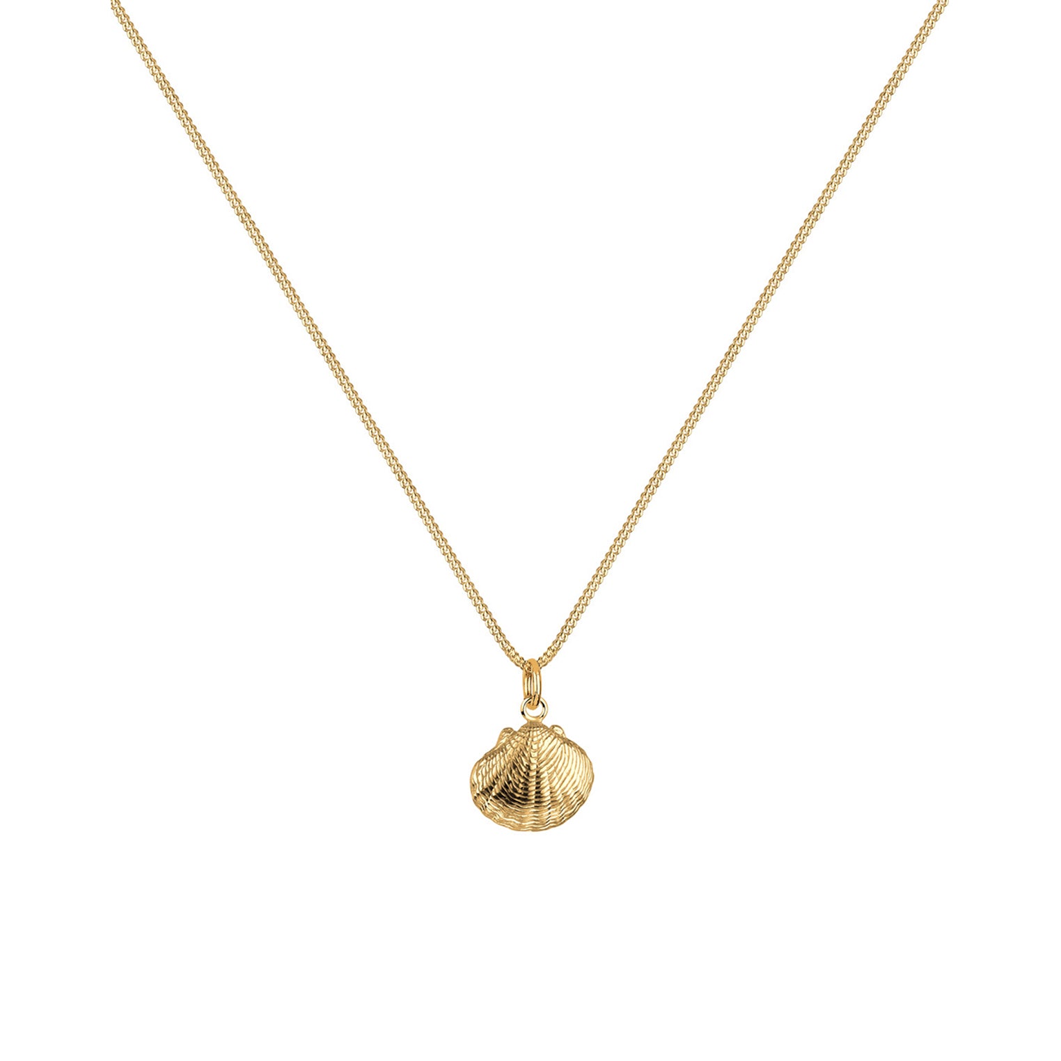 Gold - Elli | Halskette Muschel | 925 Sterling Silber vergoldet