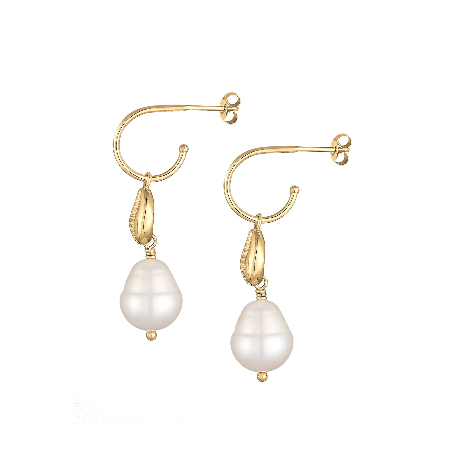 Gold - Elli | Ohrhänger Muschel | Süßwasserperle | 925 Sterling Silber vergoldet