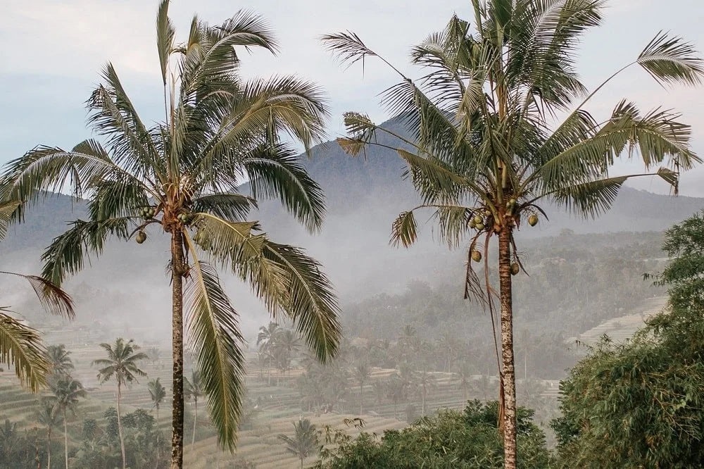 Bali Landschaft