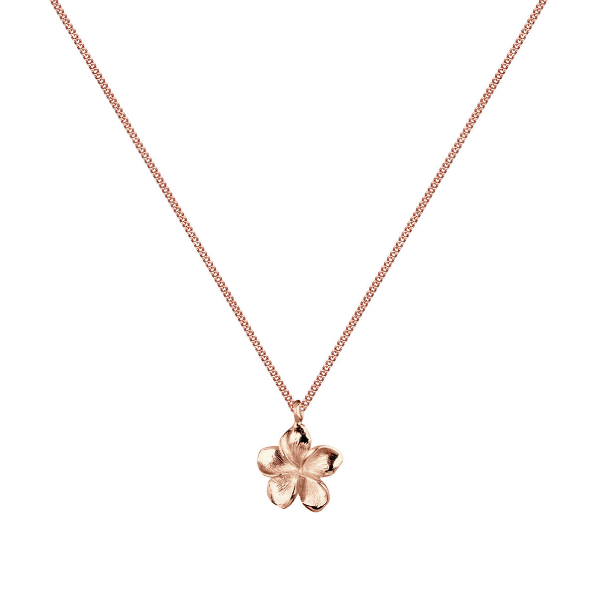 Roségold - Elli | Halskette Frangipani Blüte | 925 Sterling Silber Rosegold