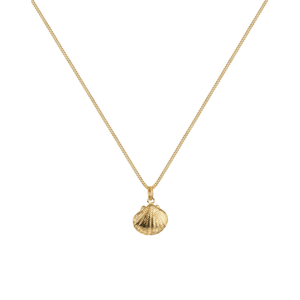 Gold - Elli | Halskette Muschel | 925 Sterling Silber vergoldet