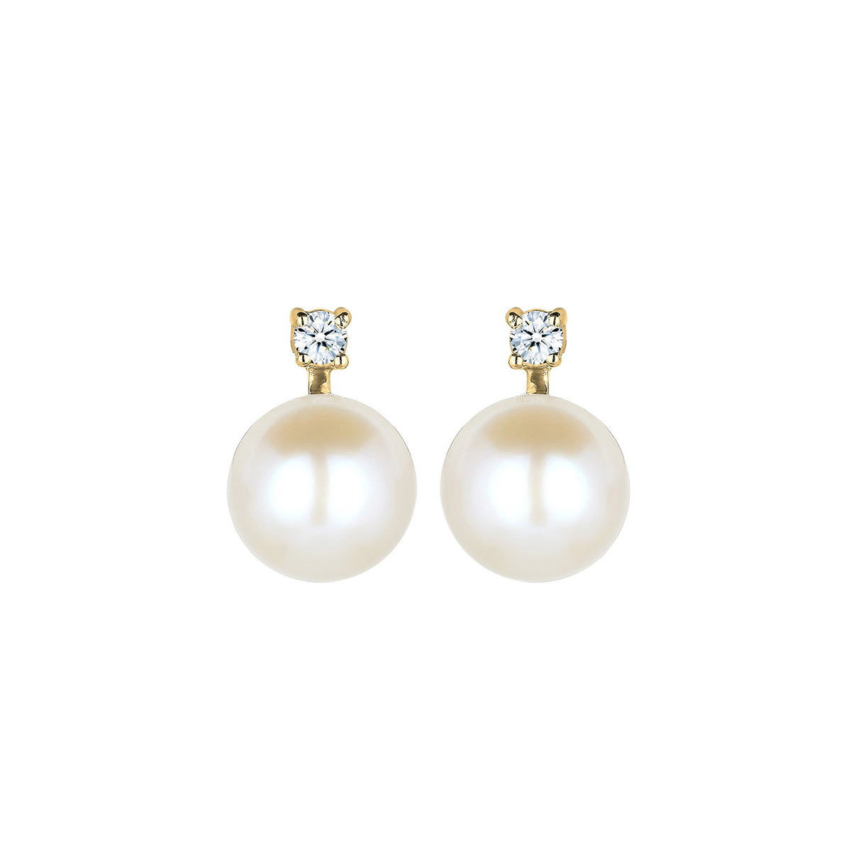 Weiß - Elli DIAMONDS | Ohrstecker | Süßwasserperle, Diamant ( Weiß, 0,06 ct ) | 585 Gelbgold