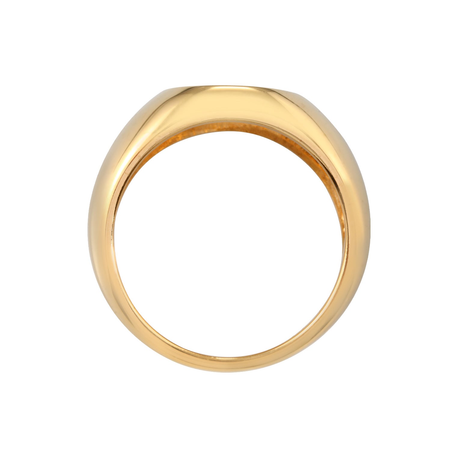 Gold - Elli PREMIUM | Siegelring Schlange | 925er Sterling Silber Vergoldet