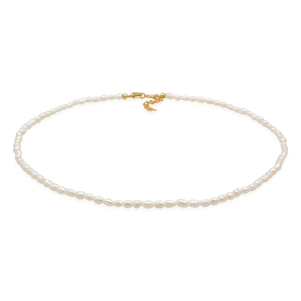 Gold - Elli PREMIUM | Choker Klassisch | Süßwasserperlen | 925er Sterling Silber