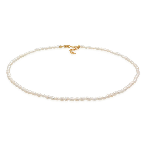 Gold - Elli PREMIUM | Choker Klassisch | Süßwasserperlen | 925er Sterling Silber