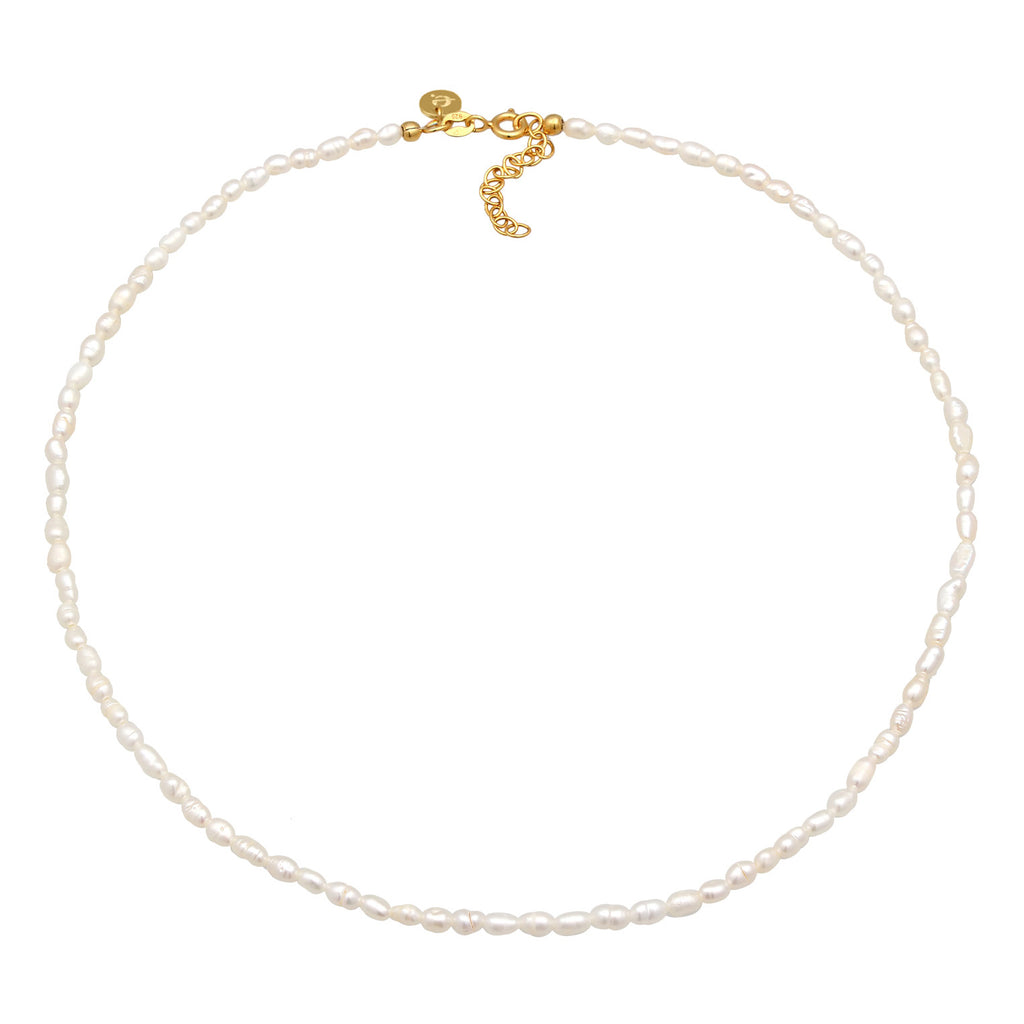 Gold - Elli PREMIUM | Choker Klassisch | Süßwasserperlen | 925er Sterling Silber