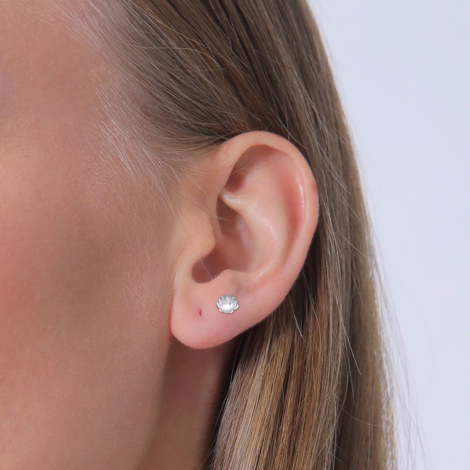 Silber - Elli | Ohrstecker Muschel | 925er Sterling Silber