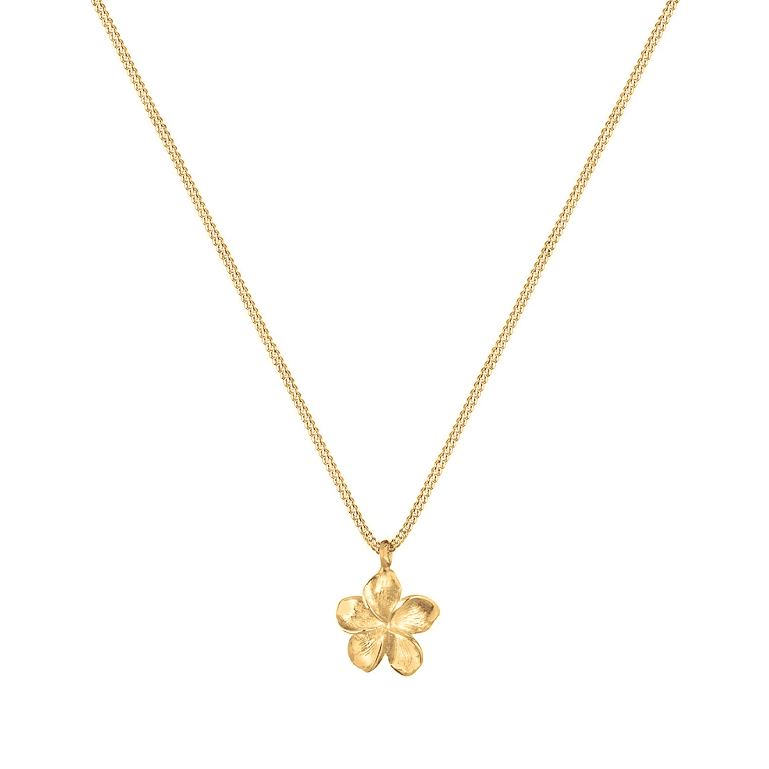 Gold - Elli | Halskette Frangipani Blüte | 925 Sterling Silber Vergoldet