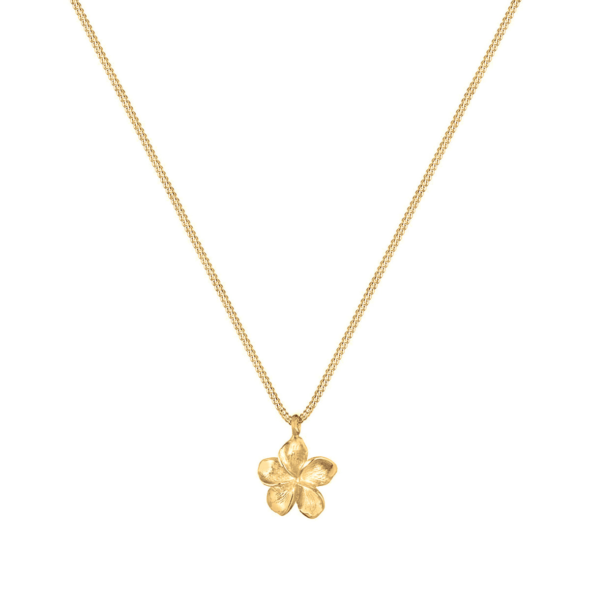 Gold - Elli | Halskette Frangipani Blüte | 925 Sterling Silber Vergoldet