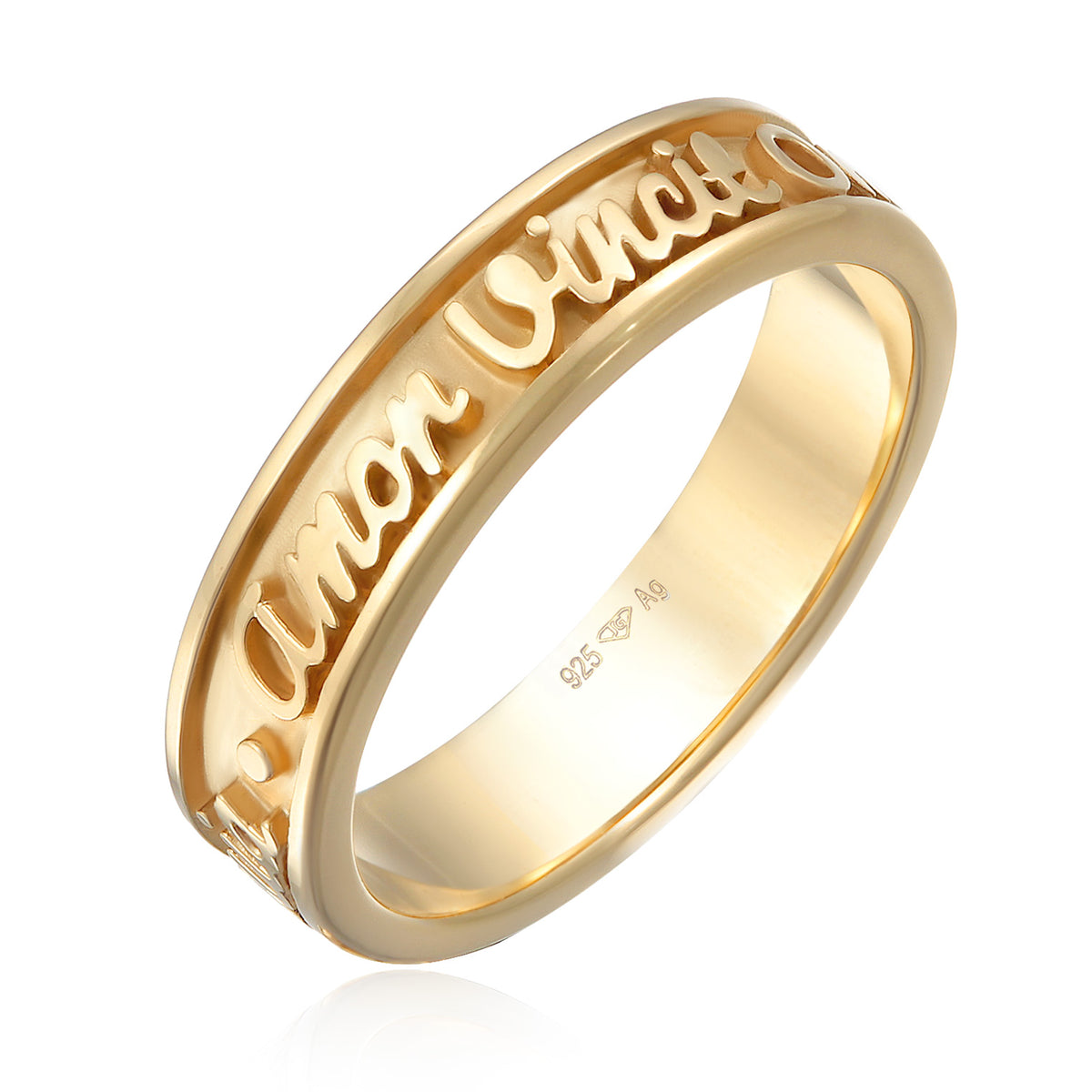 Gold - Elli | Bandring Amor Vincit Omnia | 925er Sterling Silber Vergoldet