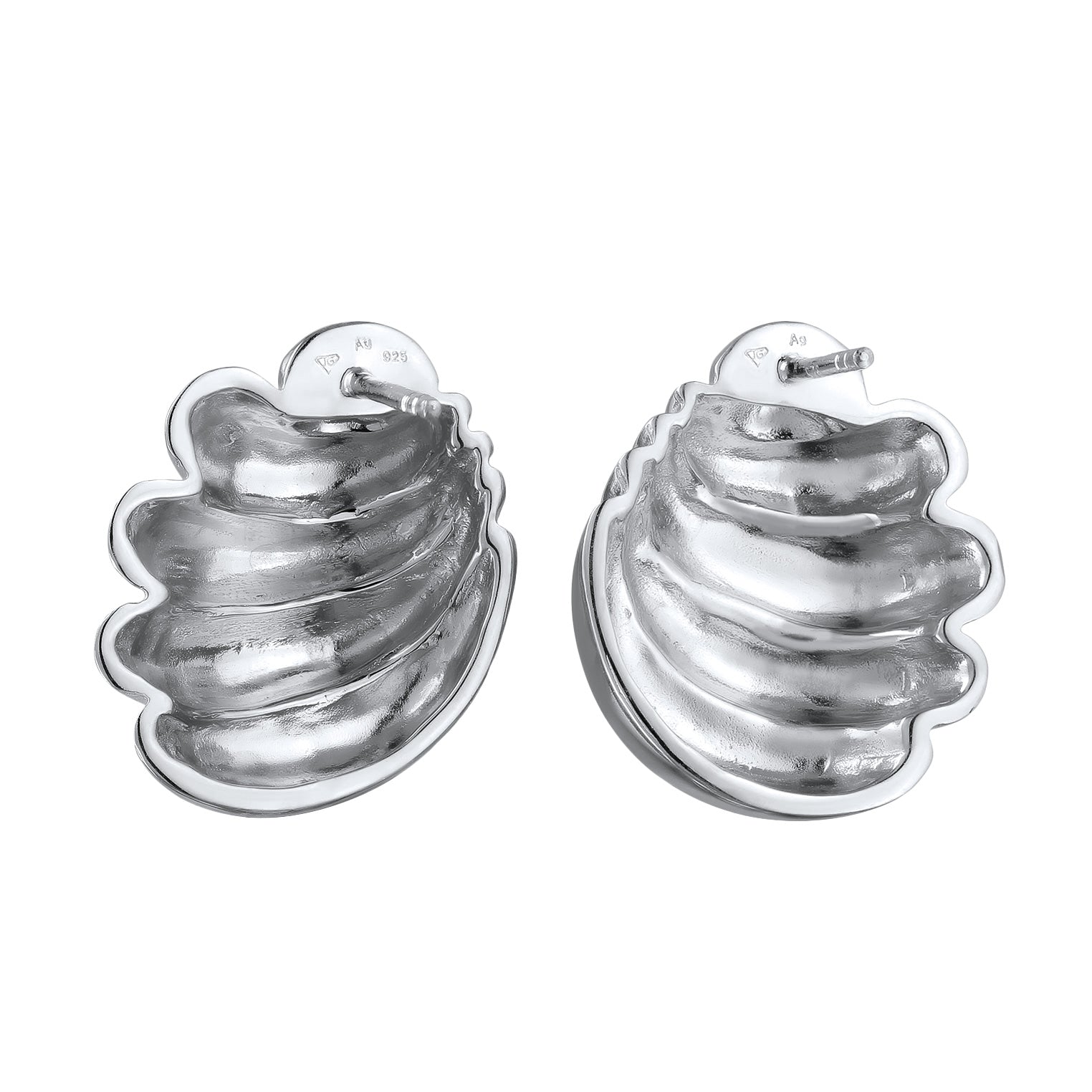 Silber - Elli PREMIUM | Ohrstecker Muschel | 925 Sterling Silber