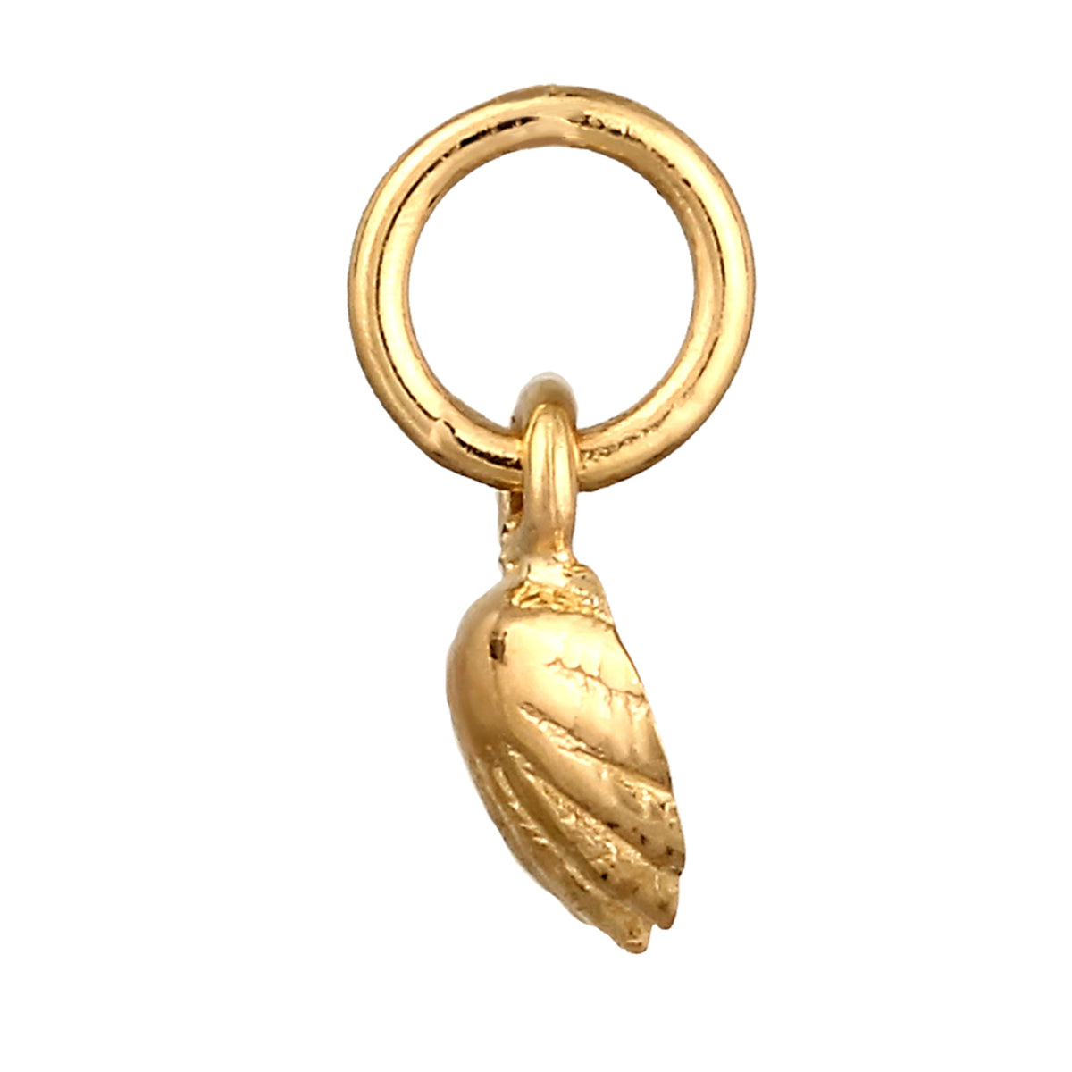 Gold - Elli | Anhänger Muschel | 925 Sterling Silber vergoldet