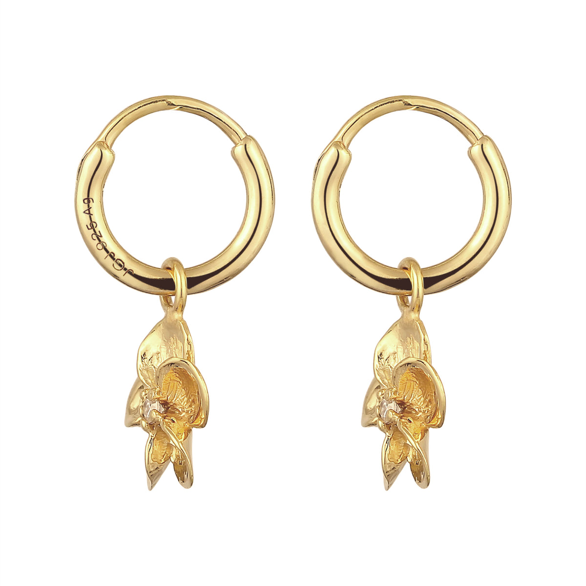 Gold - Elli | Creolen Frangipani Blume | Zirkonia (Weiß) | 925 Sterling Silber vergoldet