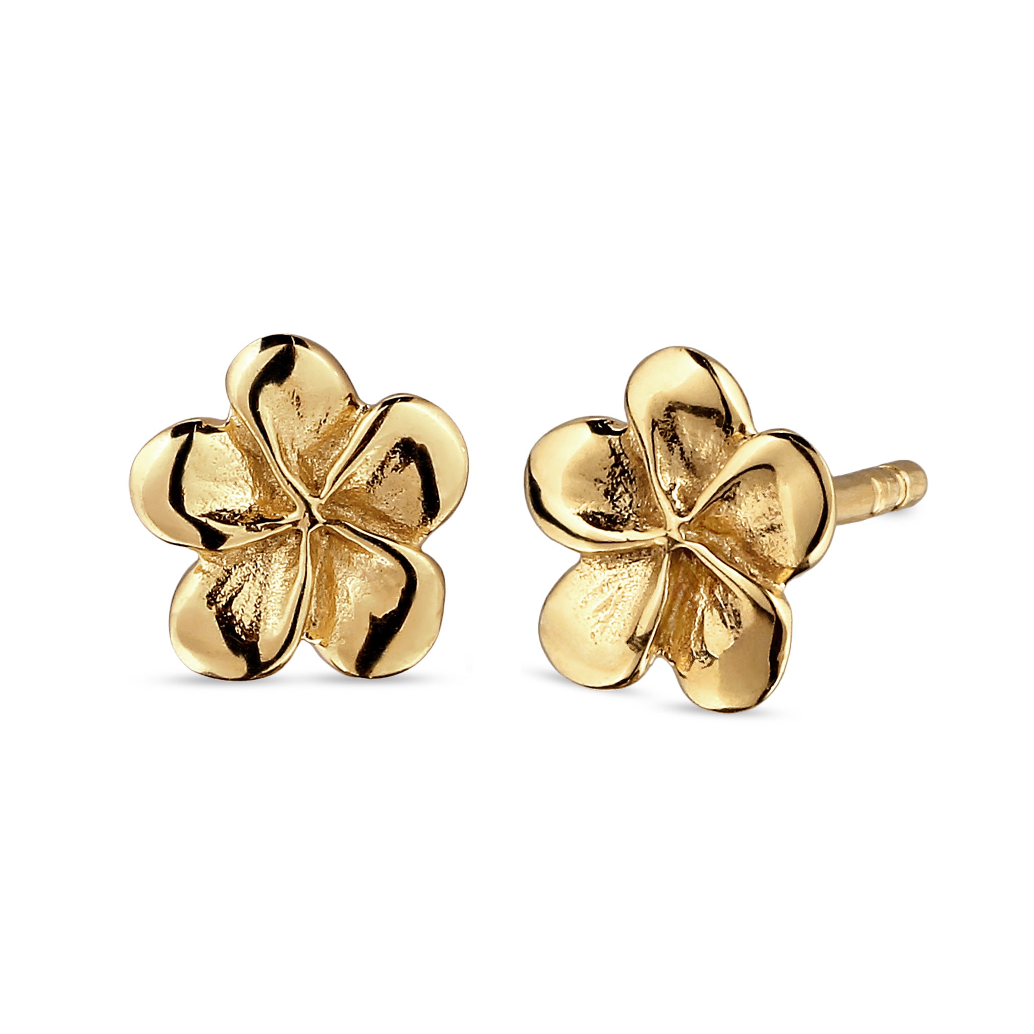 Gold - Elli | Ohrstecker Frangipani Blume | 925 Sterling Silber vergoldet