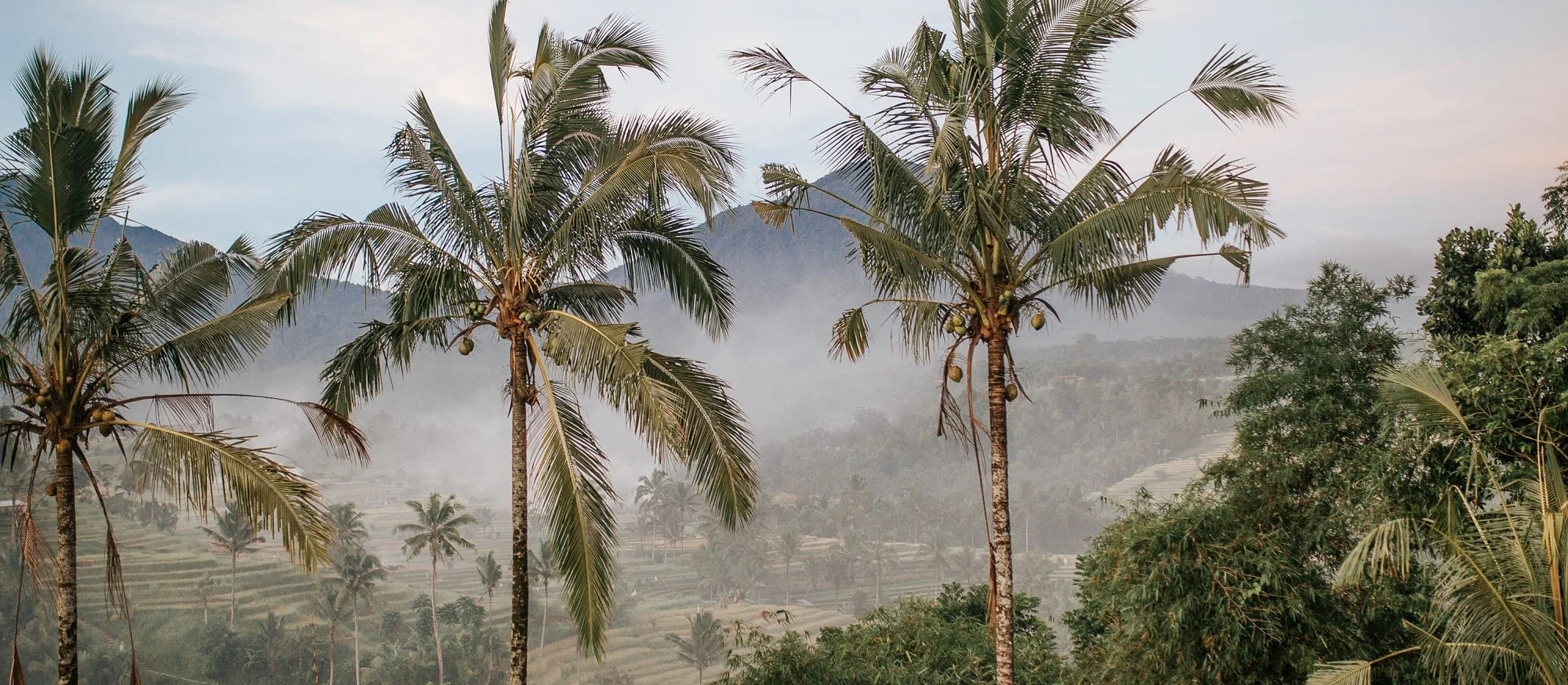 Bali Landschaft